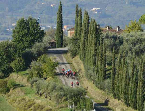 Cycling-in-Lucca