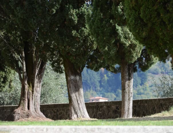 Breathtaking-views-during-our-bike-tours-in-Italy