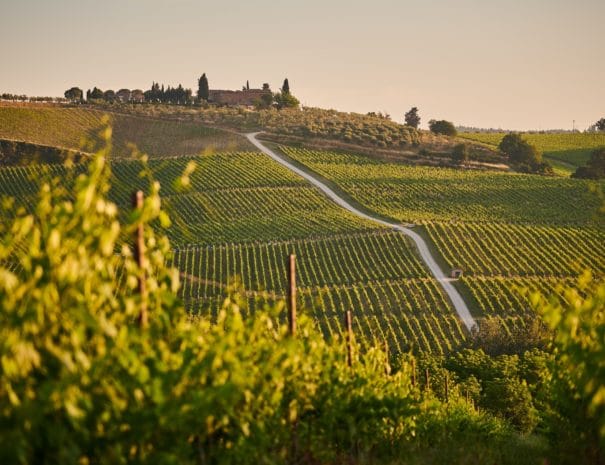 Cycling-in-Italy-1