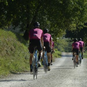 Cycling in Tuscany on the occasion of the tour de France with local professional guides