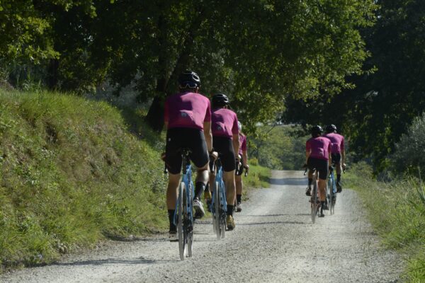 Cycling in Tuscany on the occasion of the tour de France with local professional guides